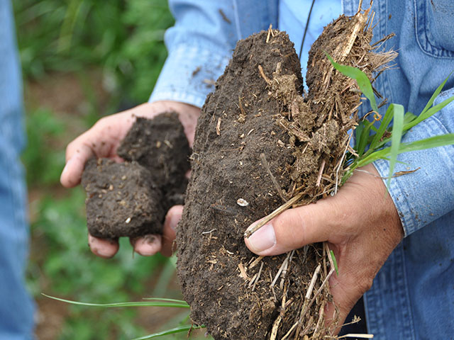 In just a few years, farmers may have access to soil tests that tell them if they have disease-fighting microbial populations and how to manage their soil to encourage them. (DTN photo by Chris Clayton)